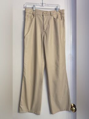 Zara Tan Faux-Leather Pants
